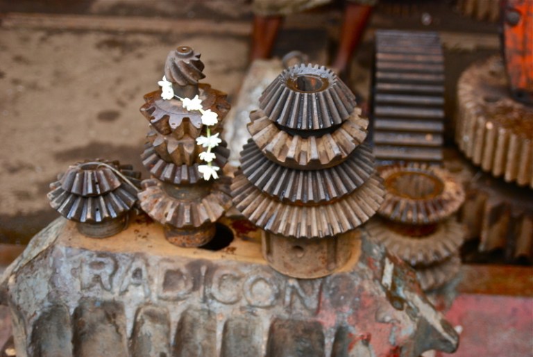 gears_rust_jasmine1