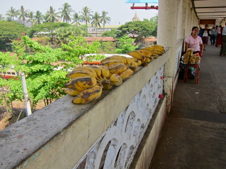 one_square_inch_first