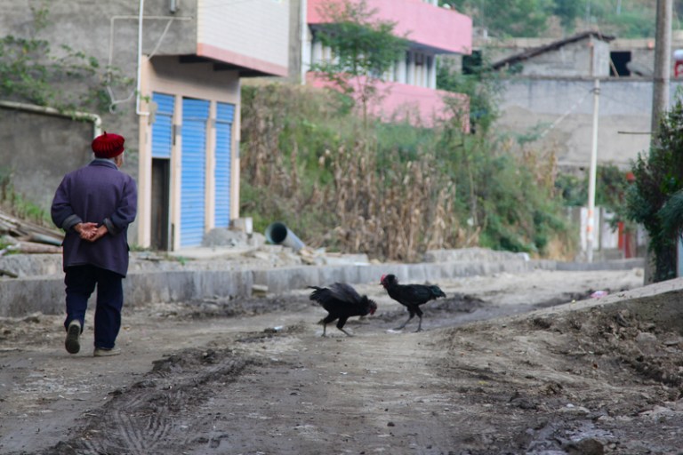 referee_peacekeeper_1