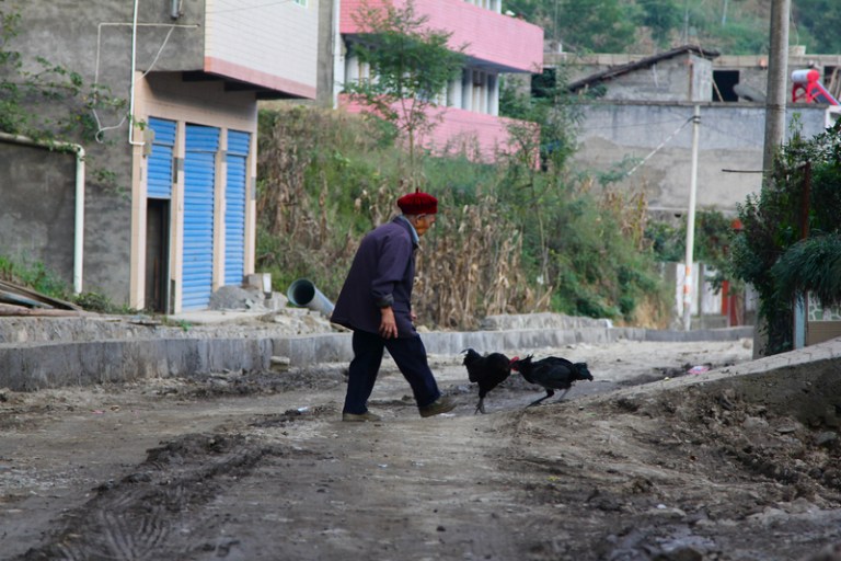 referee_peacekeeper_4