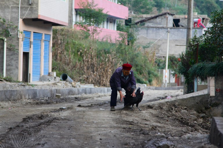 referee_peacekeeper_6