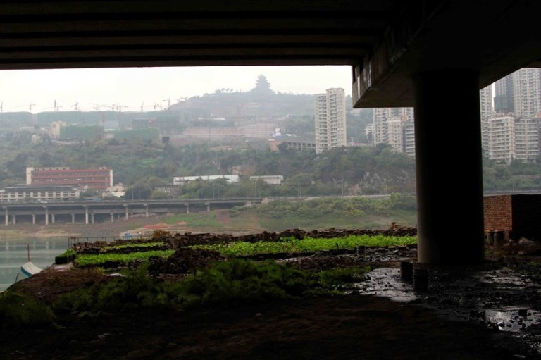 Infrastructure of questionable intellect_0