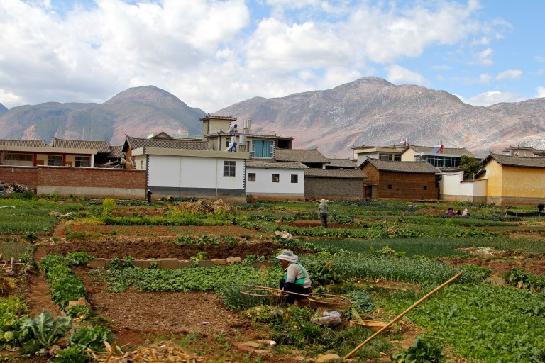 HQ_# Heqing Chen Ridealong HQ_8 February  Fulbright